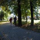 zdjęcie nr 31