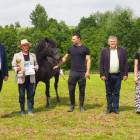 zdjęcie nr 35