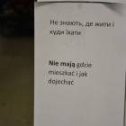 zdjęcie nr 29