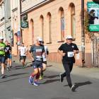 zdjęcie nr 331