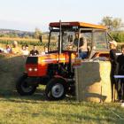 zdjęcie nr 18