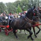 zdjęcie nr 302