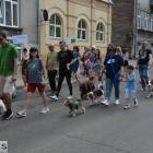 zdjęcie nr 29