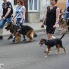 zdjęcie nr 39