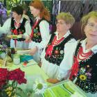 zdjęcie nr 71