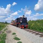 zdjęcie nr 10