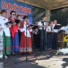 zdjęcie nr 41