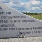 zdjęcie nr 10