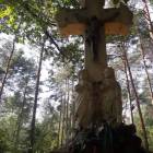 zdjęcie nr 12