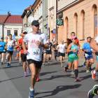 zdjęcie nr 319