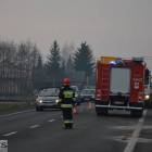 Fotka nr 2 z 4