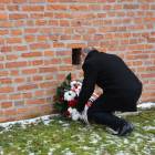 zdjęcie nr 14