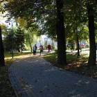 zdjęcie nr 28
