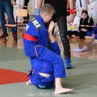 Fotka nr 4 z 46
