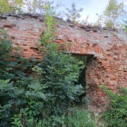 Fotka nr 5 z 7