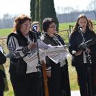 zdjęcie nr 27