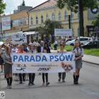 zdjęcie nr 9