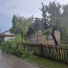 zdjęcie nr 8