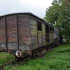 zdjęcie nr 8