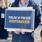 Fotka nr 3 z 13
