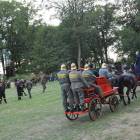 zdjęcie nr 247