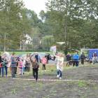 zdjęcie nr 37