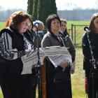 zdjęcie nr 15