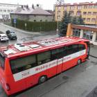 Fotka nr 2 z 3