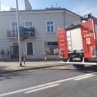 Fotka nr 1 z 3
