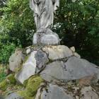 zdjęcie nr 7