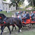 zdjęcie nr 235