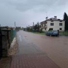 Fotka nr 5 z 10