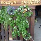 zdjęcie nr 12
