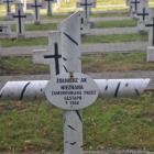 zdjęcie nr 16