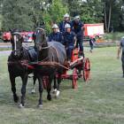 zdjęcie nr 304