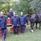 zdjęcie nr 217