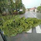 zdjęcie nr 9