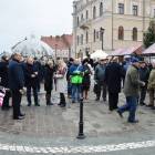 zdjęcie nr 15