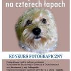 Fotka nr 0 z 1
