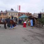 Fotka nr 5 z 33