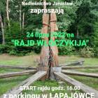 zdjęcie nr 11