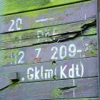 zdjęcie nr 47