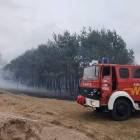 Fotka nr 3 z 15