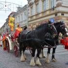 zdjęcie nr 16