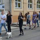zdjęcie nr 21