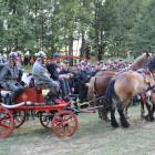 zdjęcie nr 306