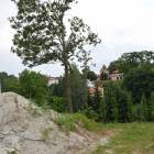 zdjęcie nr 14