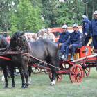 zdjęcie nr 263