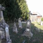 zdjęcie nr 3