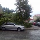 Fotka nr 0 z 14